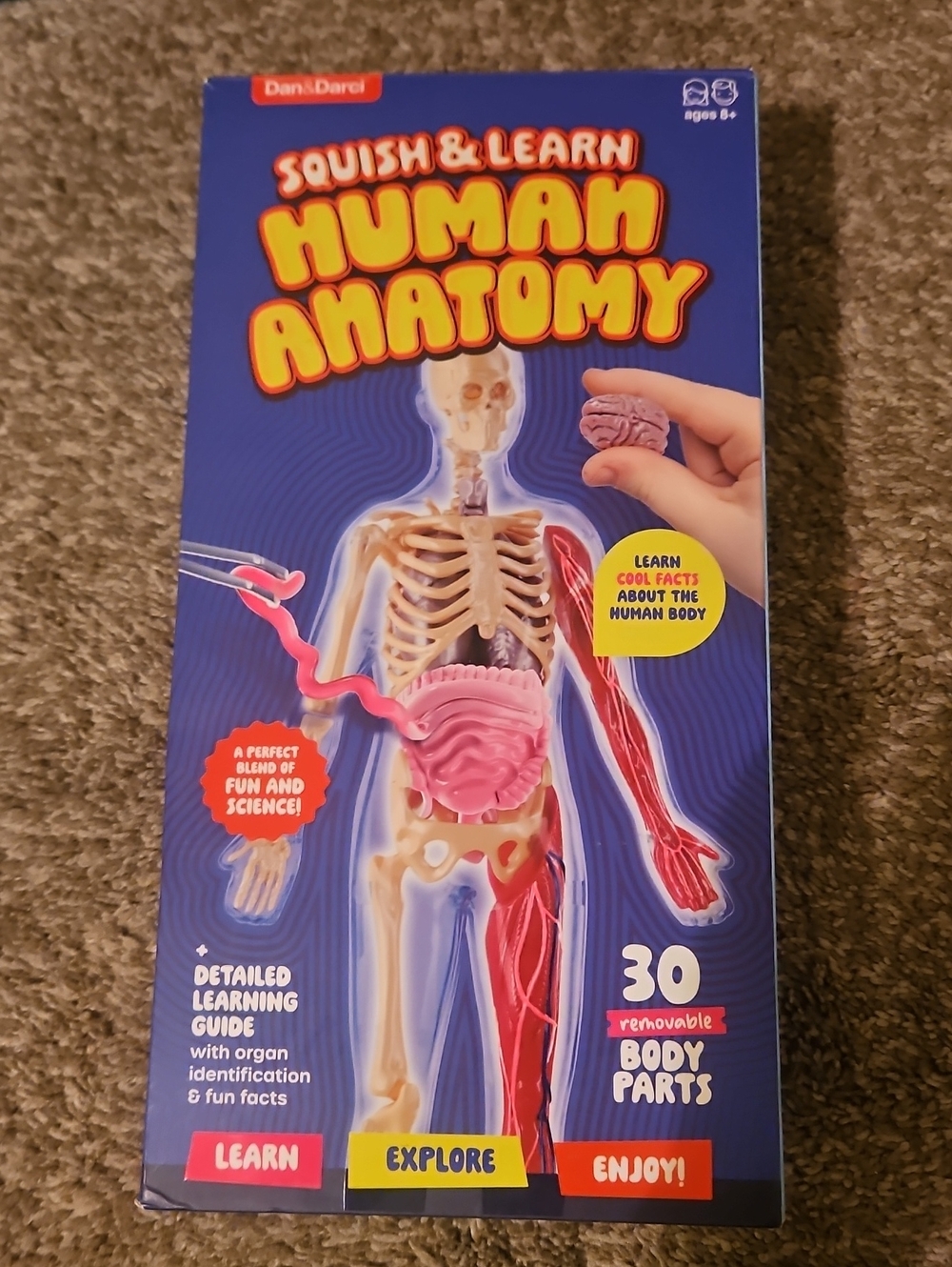 Squish & Learn Human Anatomy Toy - Bones &Organs Educational Kit